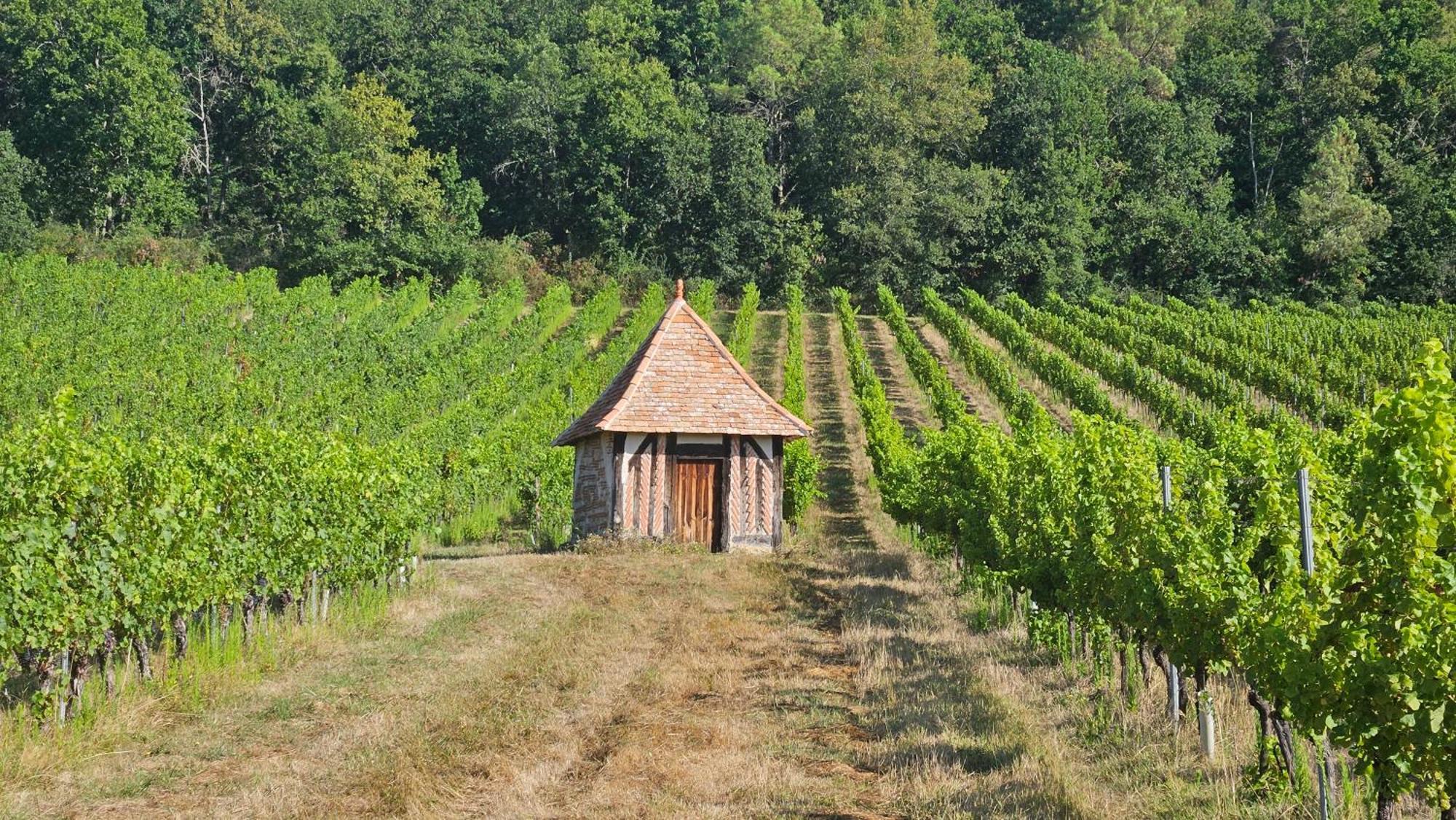 Chambres Et Gites Les Deux Chenes Pres De Bergerac Le Fleix Екстер'єр фото