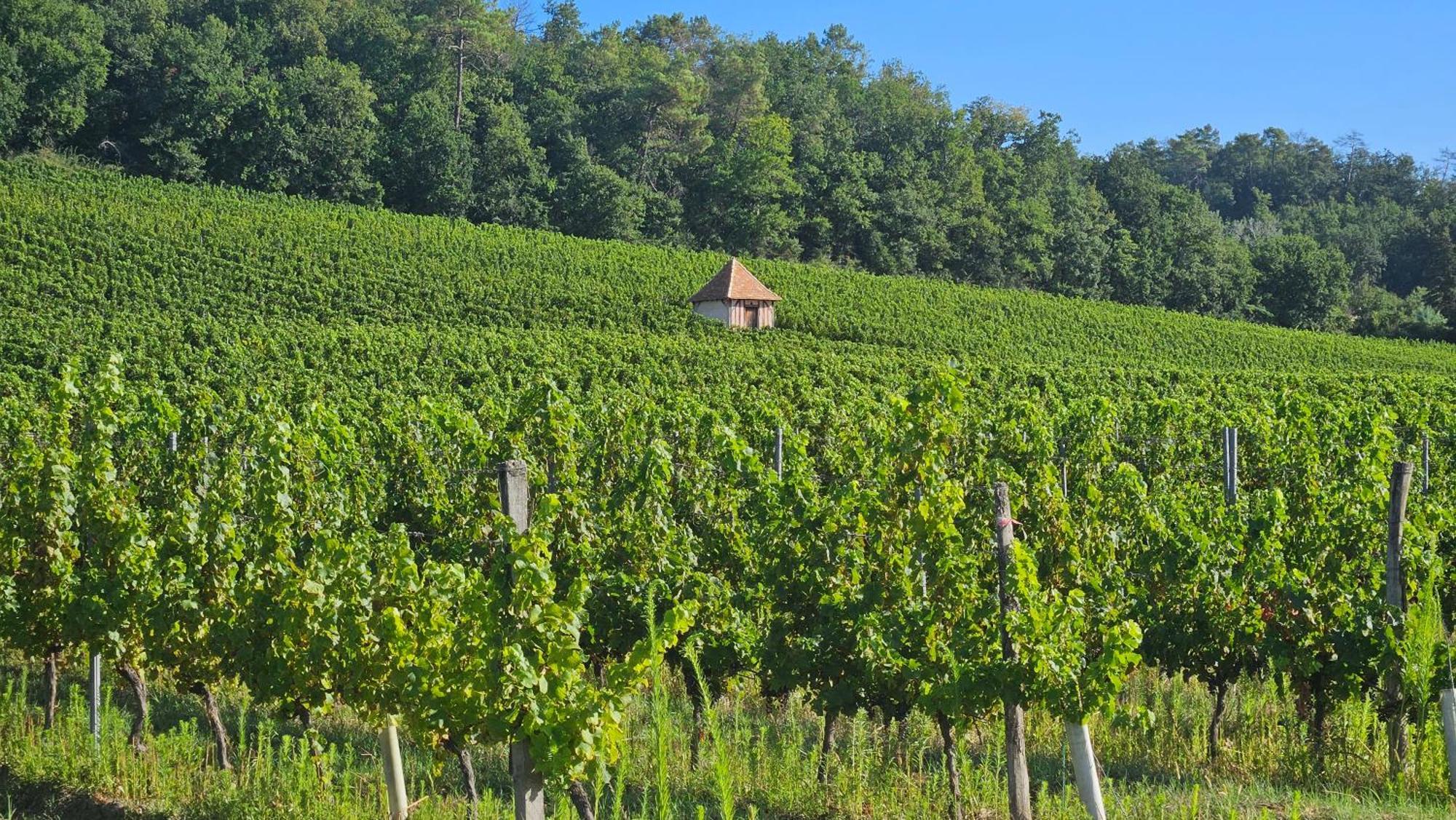 Chambres Et Gites Les Deux Chenes Pres De Bergerac Le Fleix Екстер'єр фото