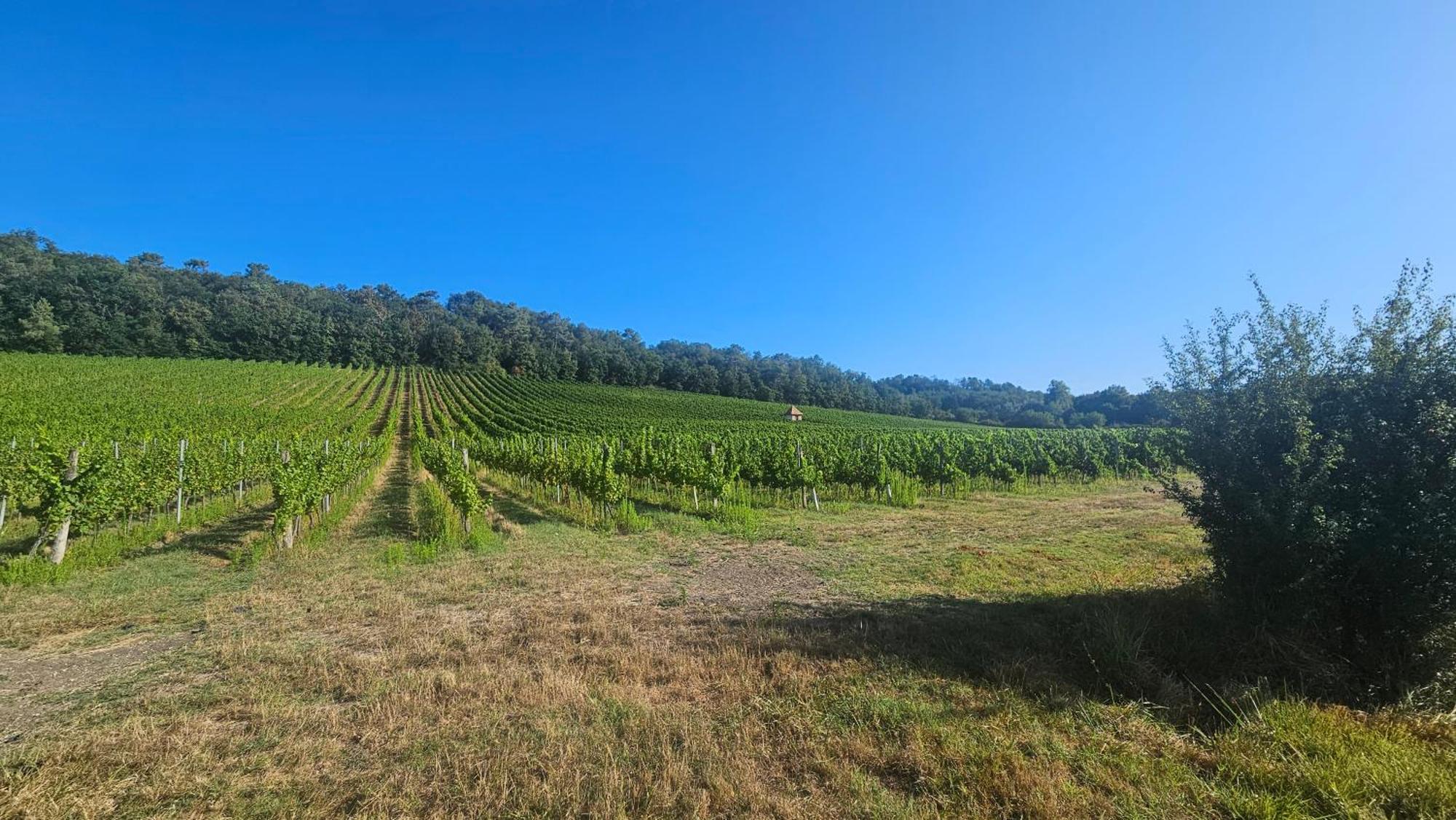 Chambres Et Gites Les Deux Chenes Pres De Bergerac Le Fleix Екстер'єр фото